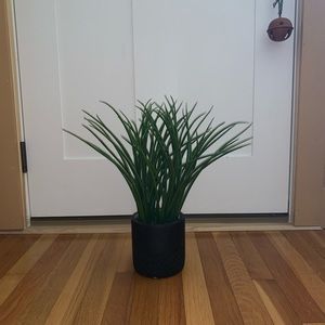 Fake plant